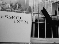 esmod申请条件是什么？