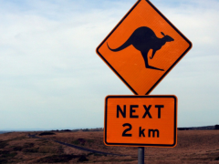 澳大利亚留学申请“五步走”