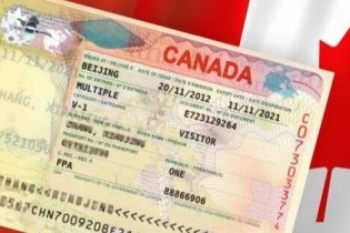 加拿大签证何时可再次申请