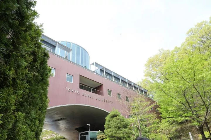 日本东京造形大学专业有哪些？