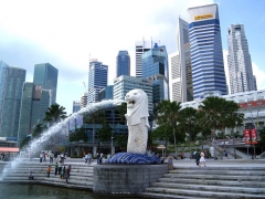 新加坡管理发展学院本科申请要求及流程材料准备