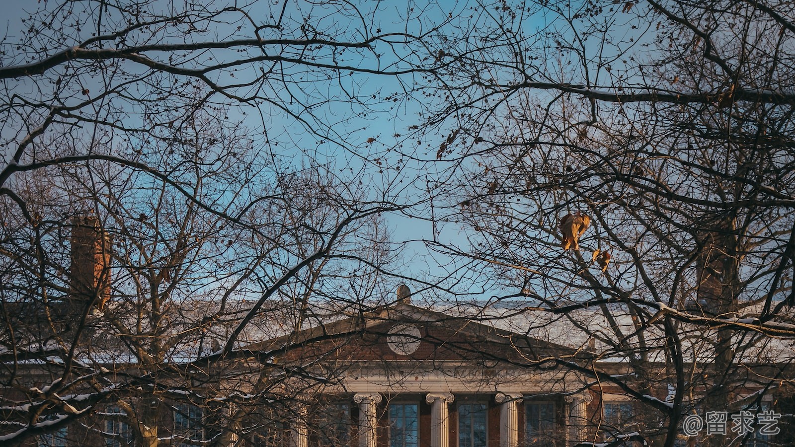 在大学当中都有哪些比较有趣的社团