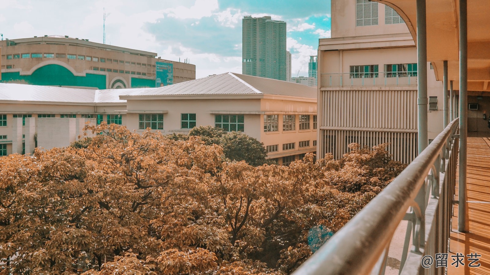 剑桥大学彭布罗克学院有哪些专业