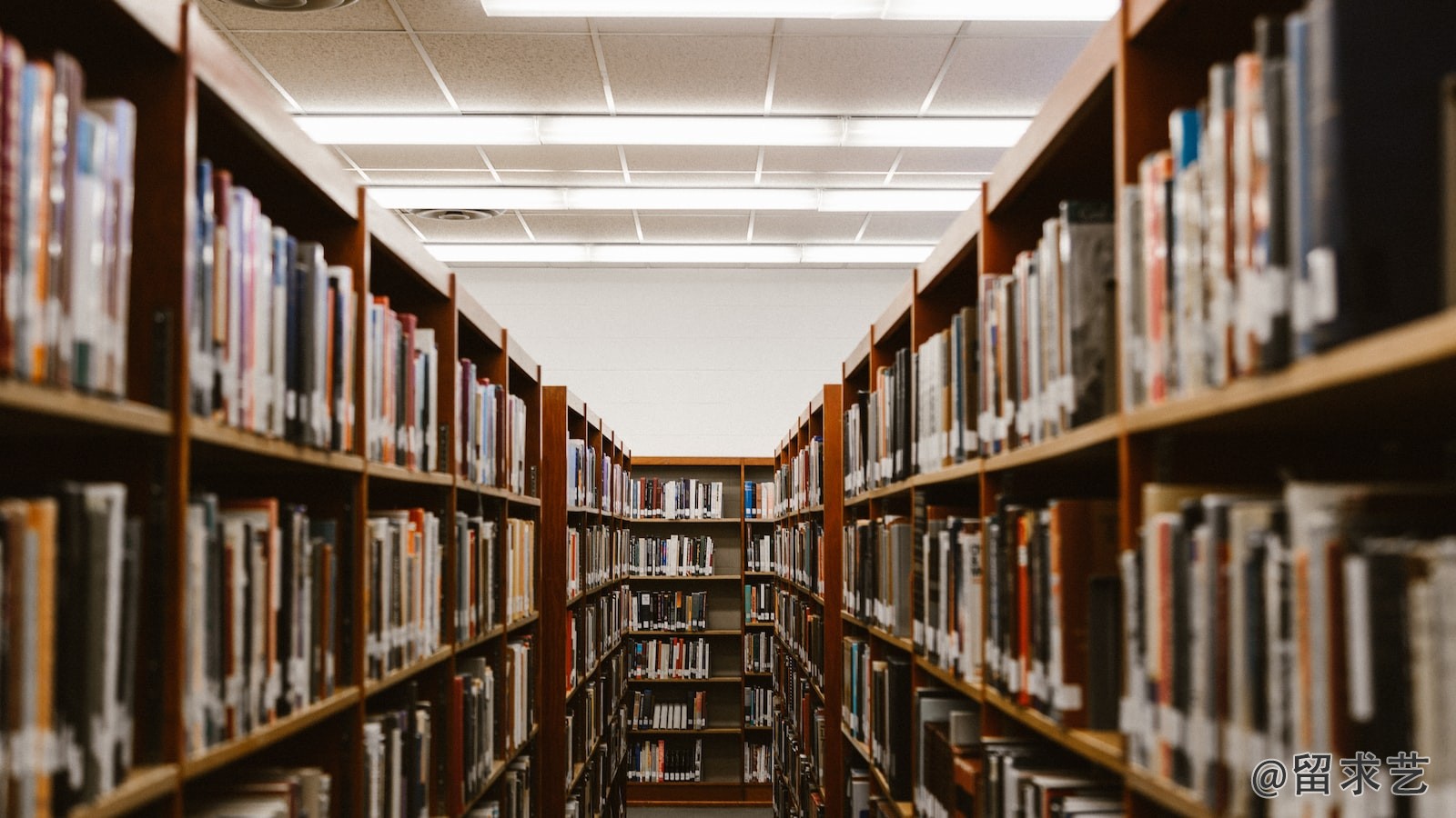 多伦多大学的工程和普渡大学的工程如何比较