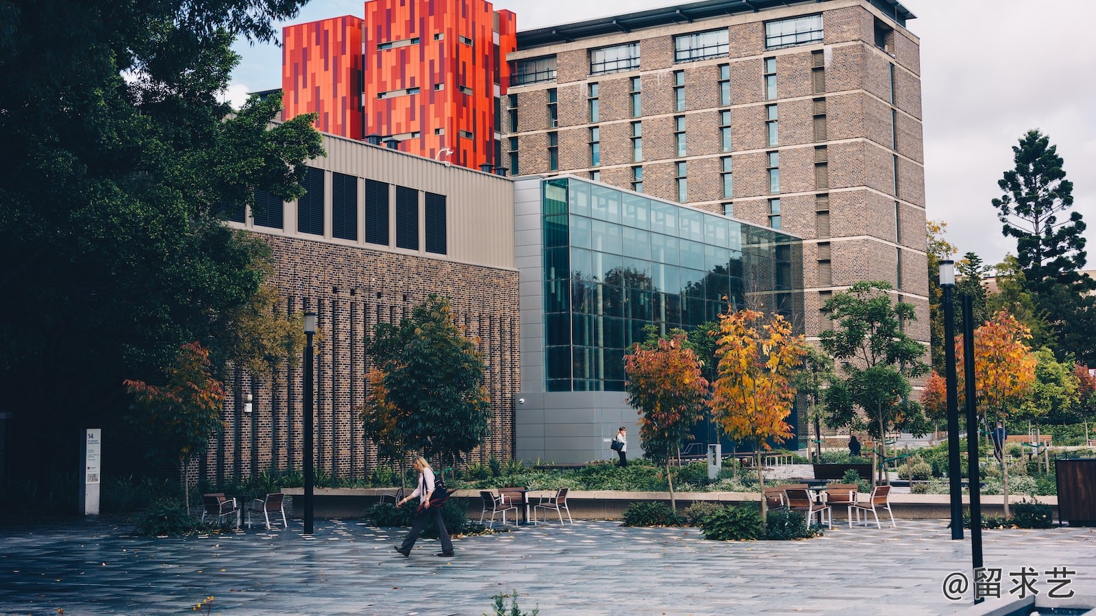 河南省大学心理学专业排名