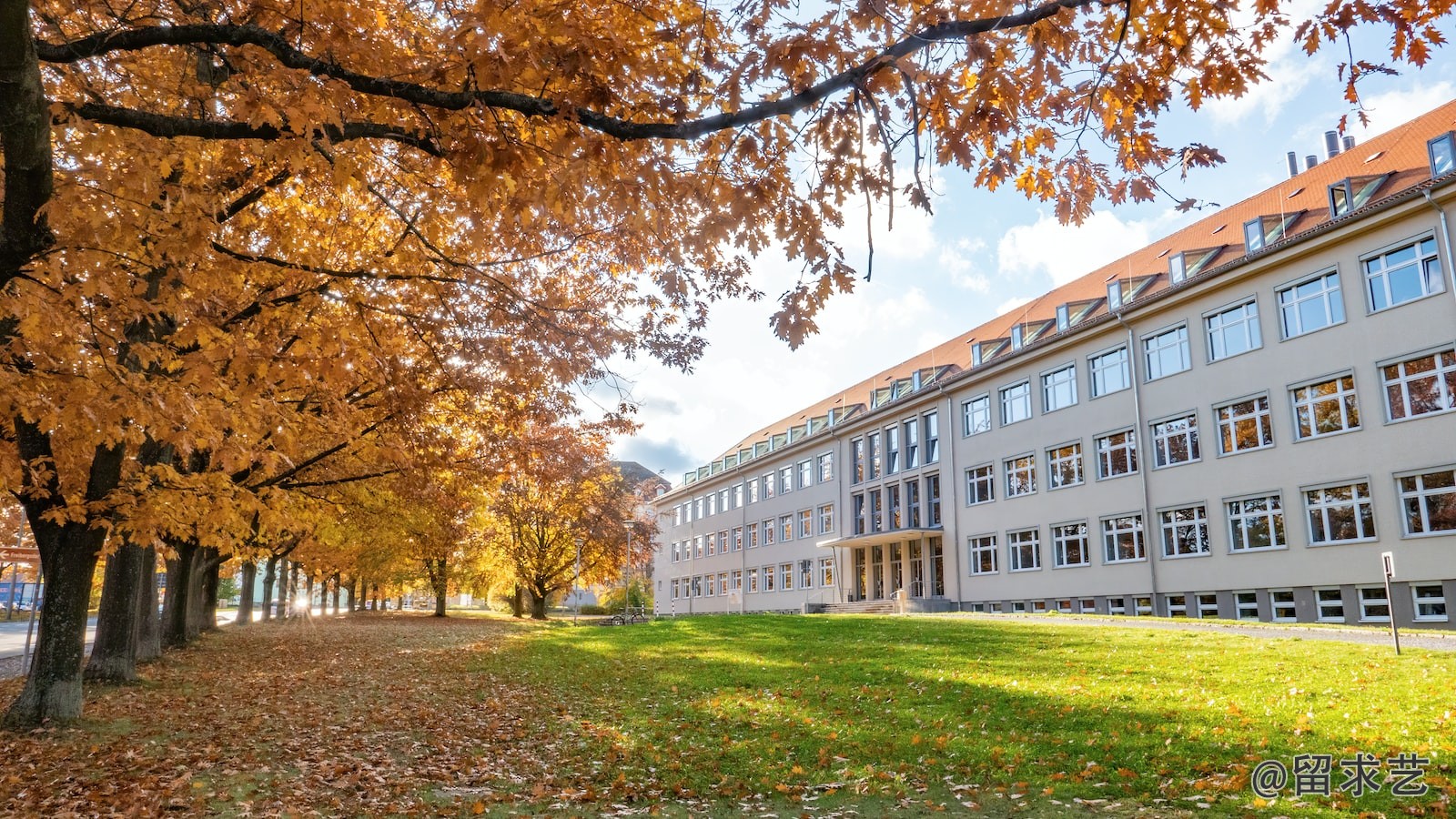 在国内上大学好还是去俄罗斯远东国立大学好