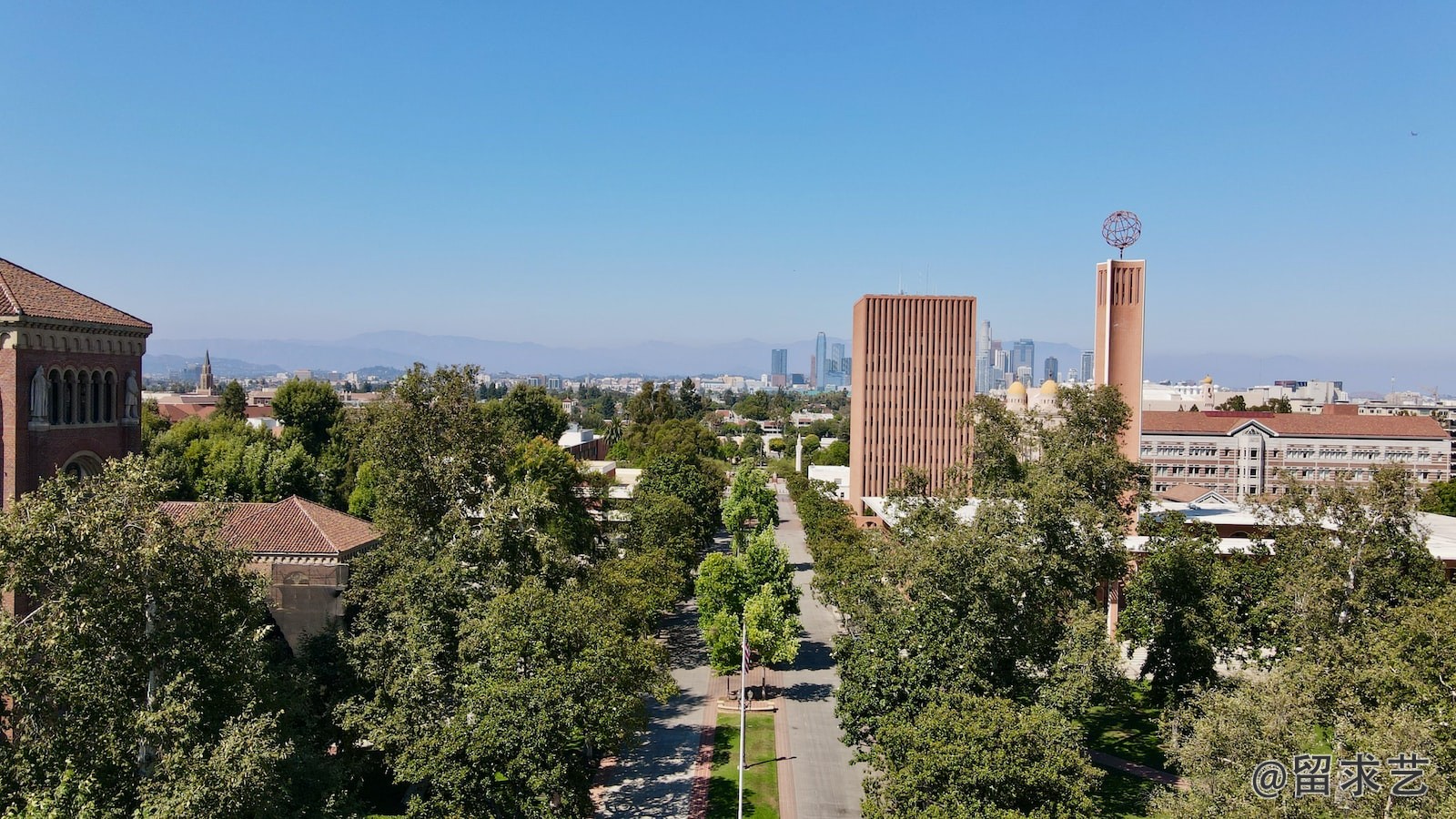 哈佛大学和纽约大学哪个好