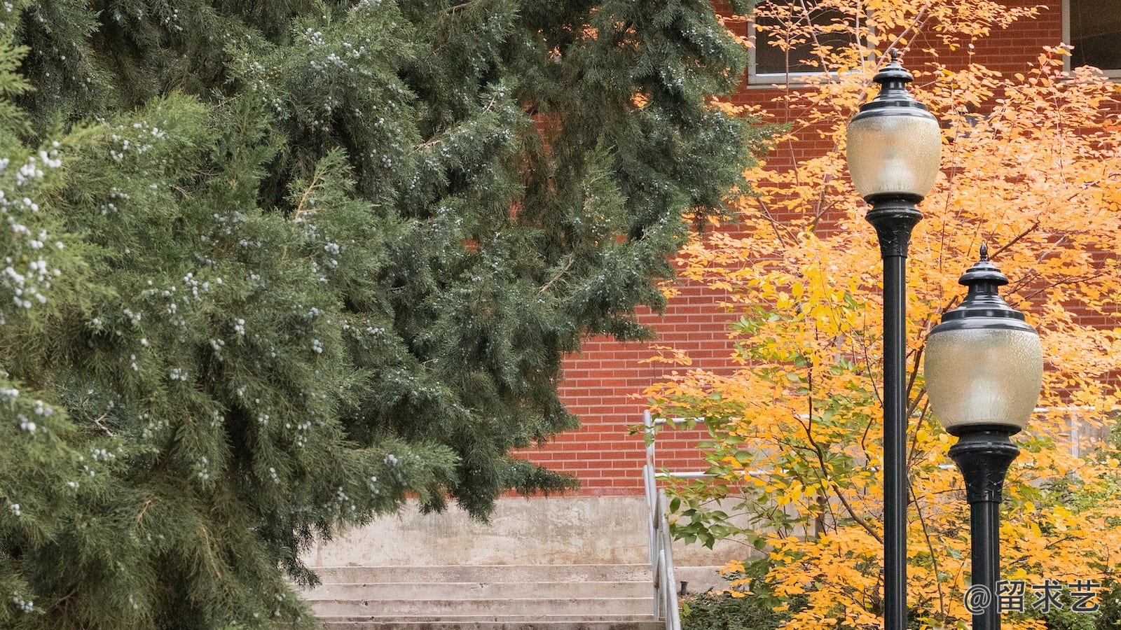 去比利时留学学费多少