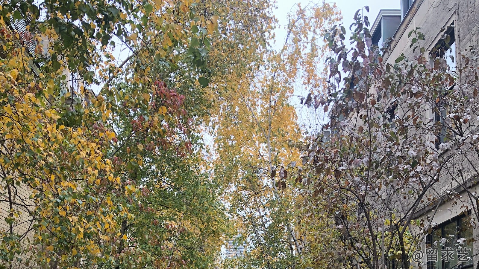 华南理工金属材料女生就业前景