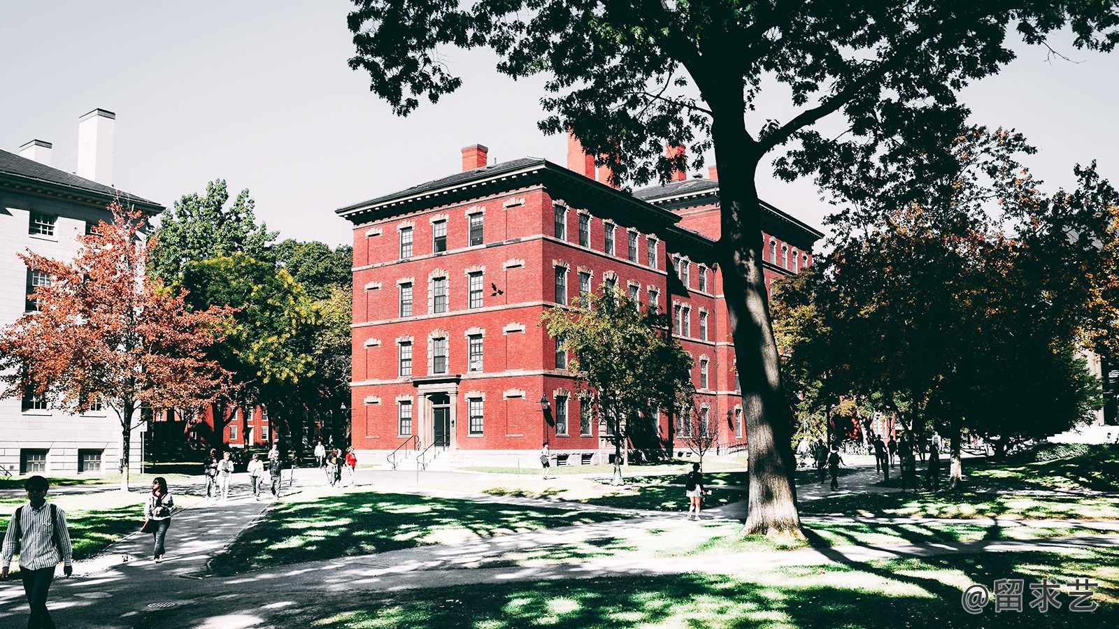 ucla大学在南加州什么地方