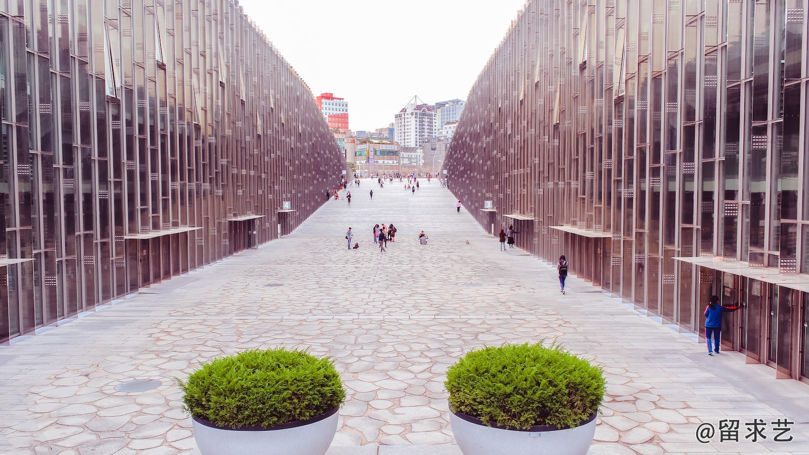 University of Leeds是什么大学