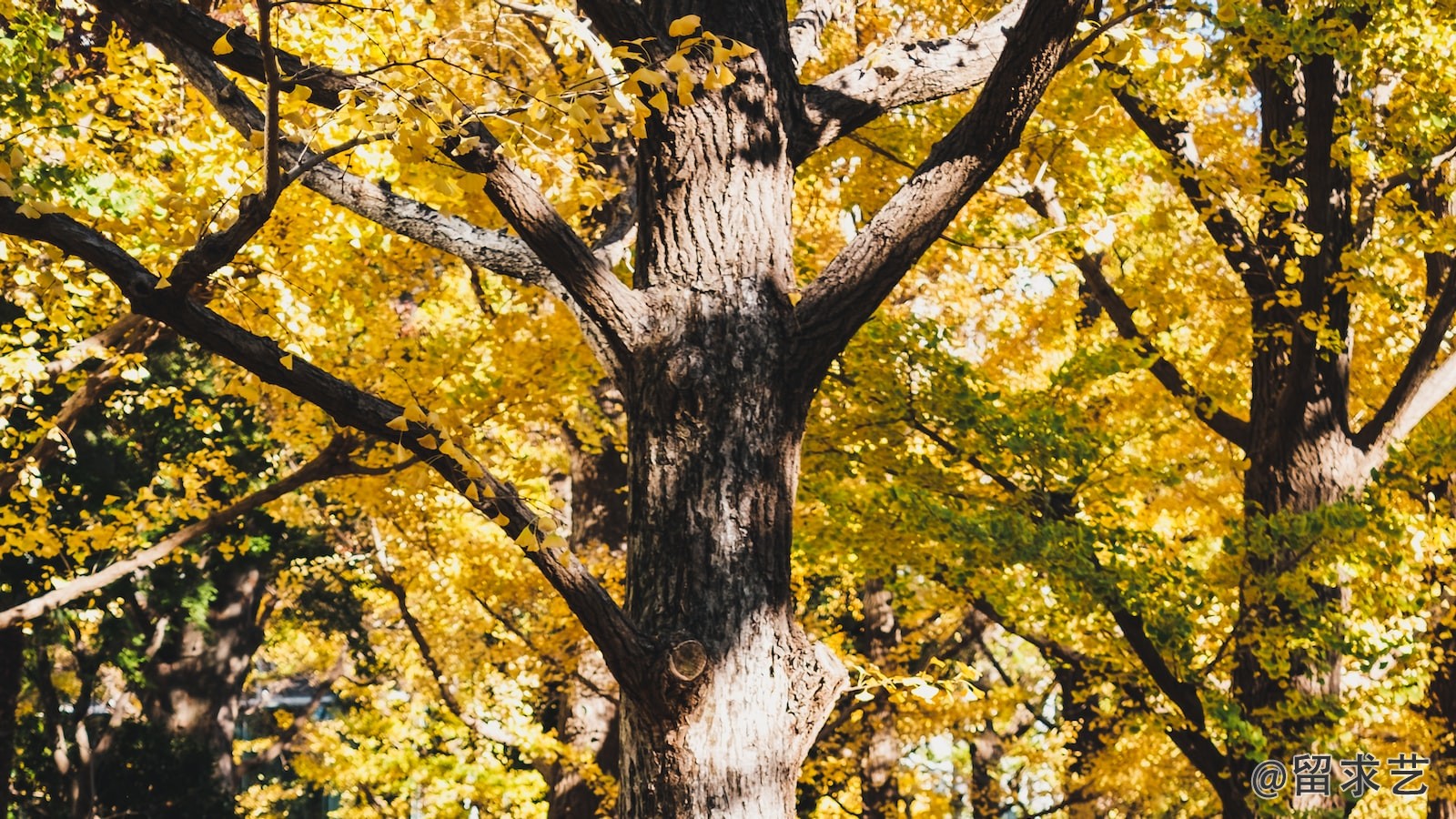 英灵神殿石板怎么造