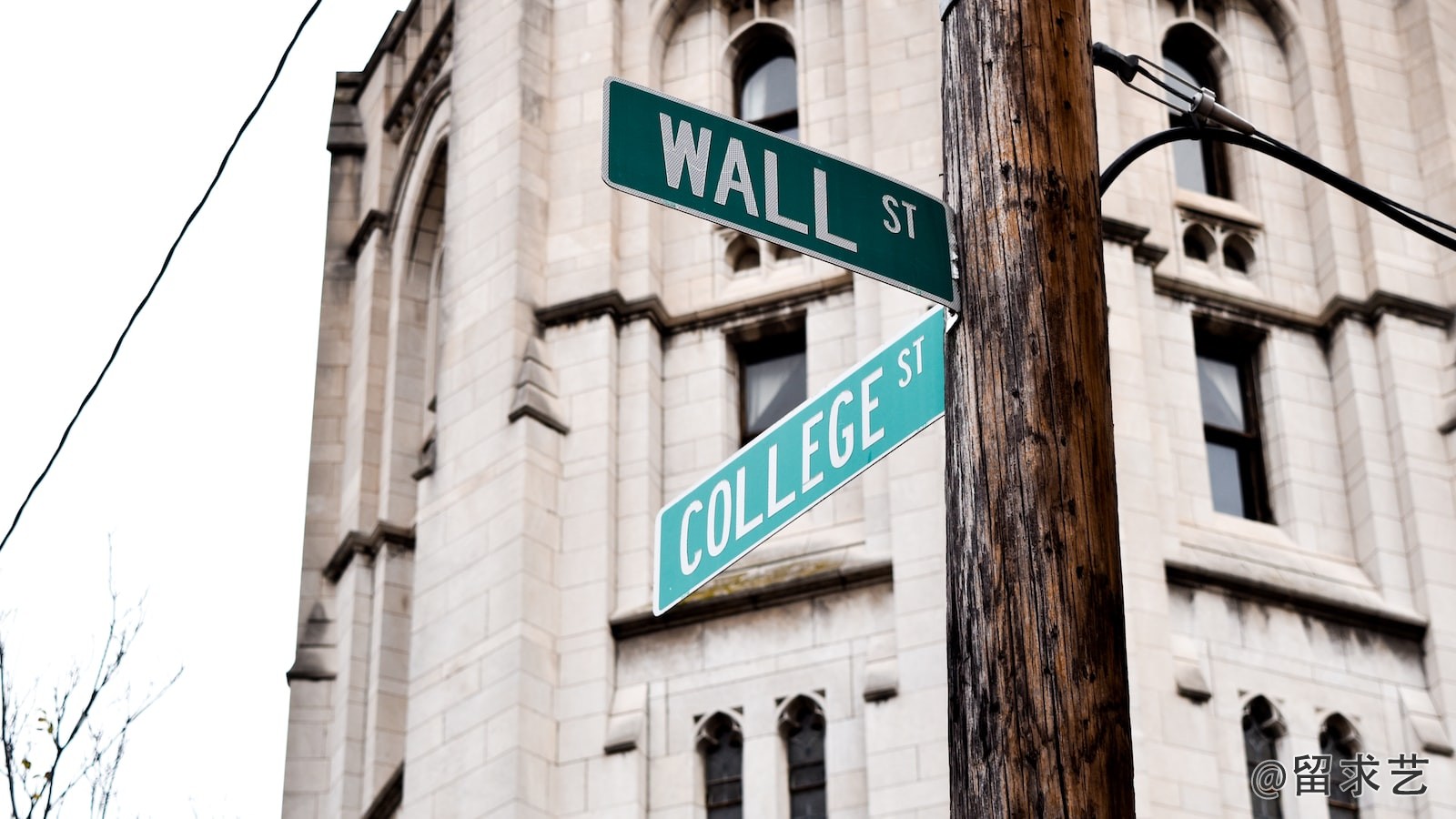 yale university是什么大学