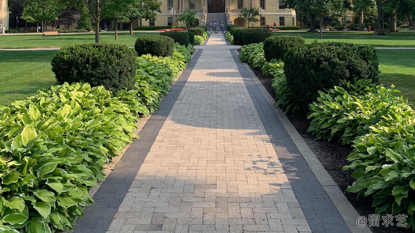 东京大学全国排行榜