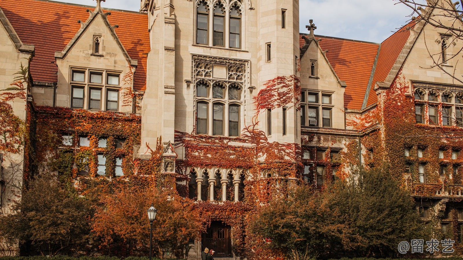 暨南大学国际学院怎么样
