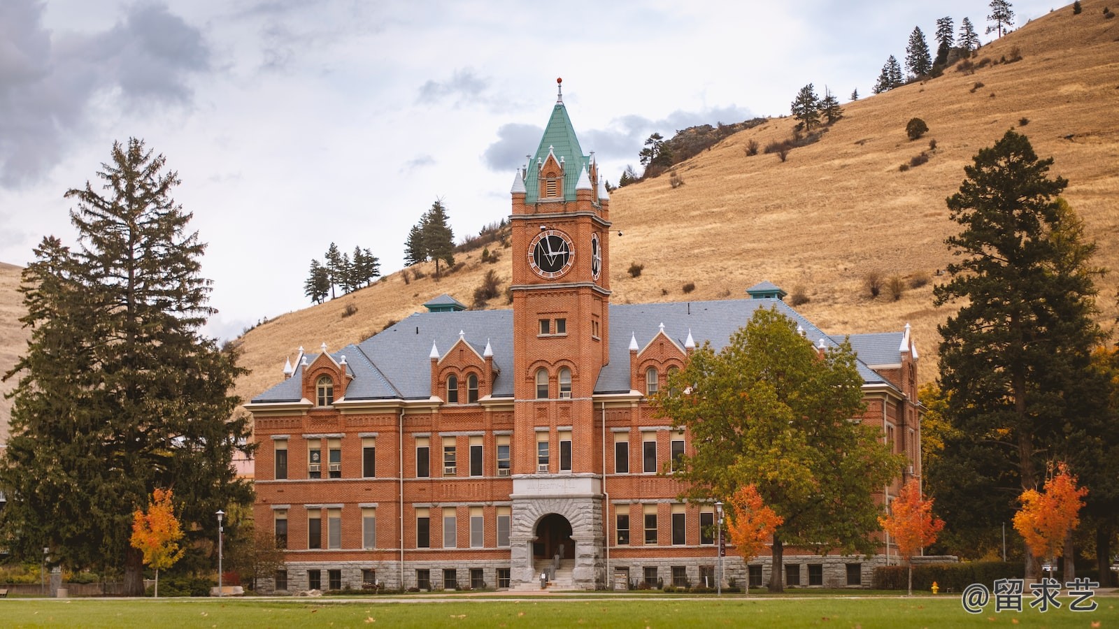 札幌国际大学国际承认吗