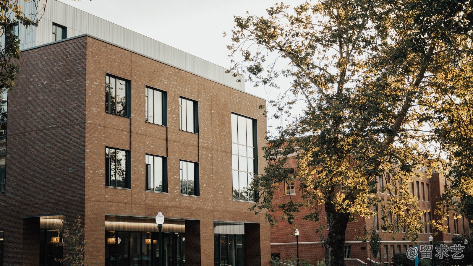 大学生学籍所在地
