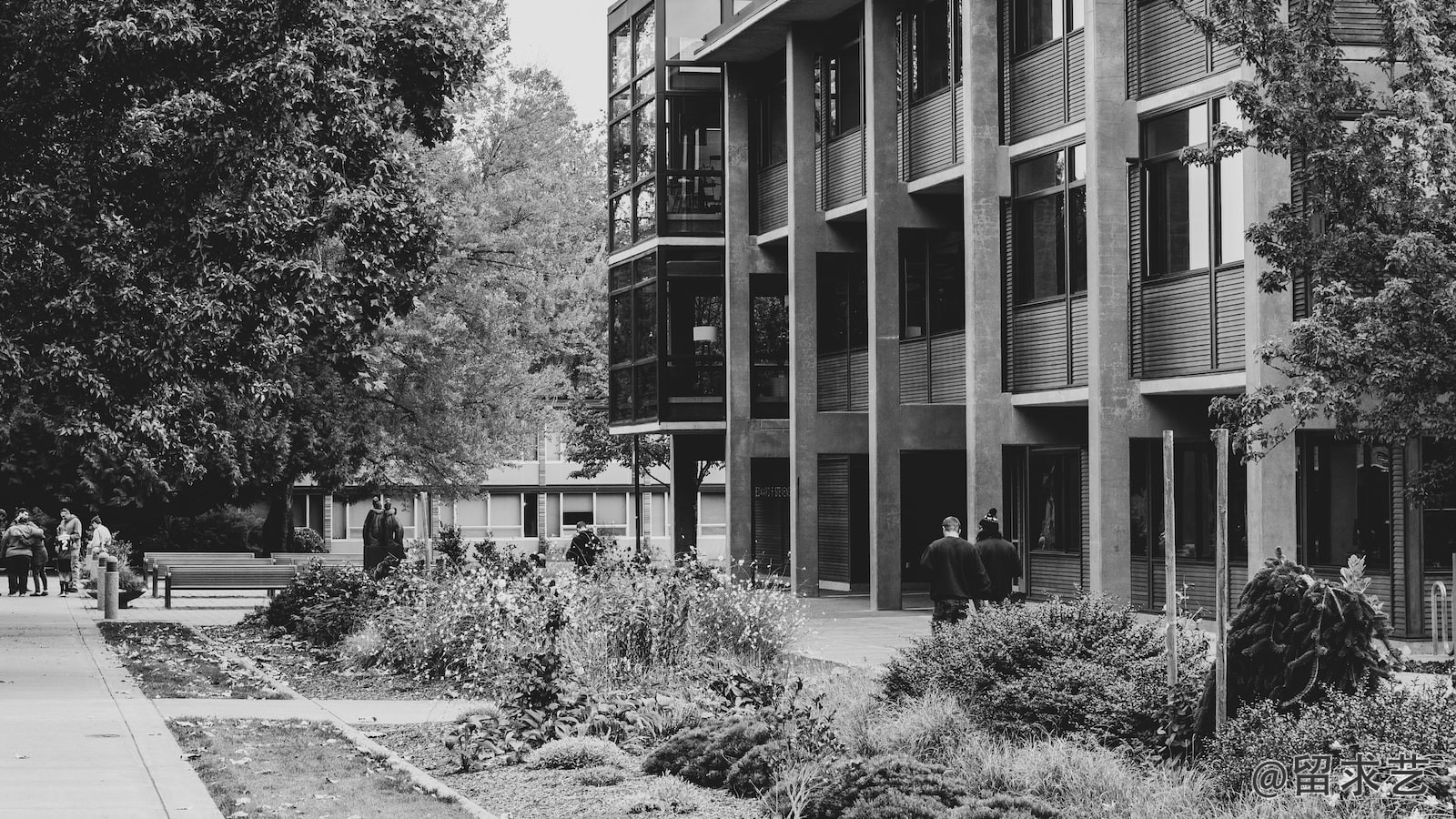 scholarship可数还是不可数