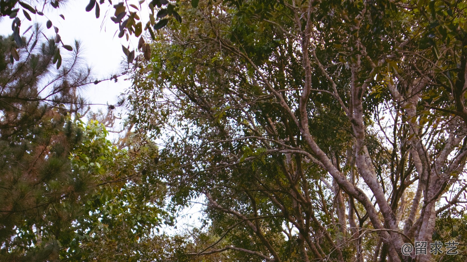 华南师范大学的生物科学专业可以教书吗
