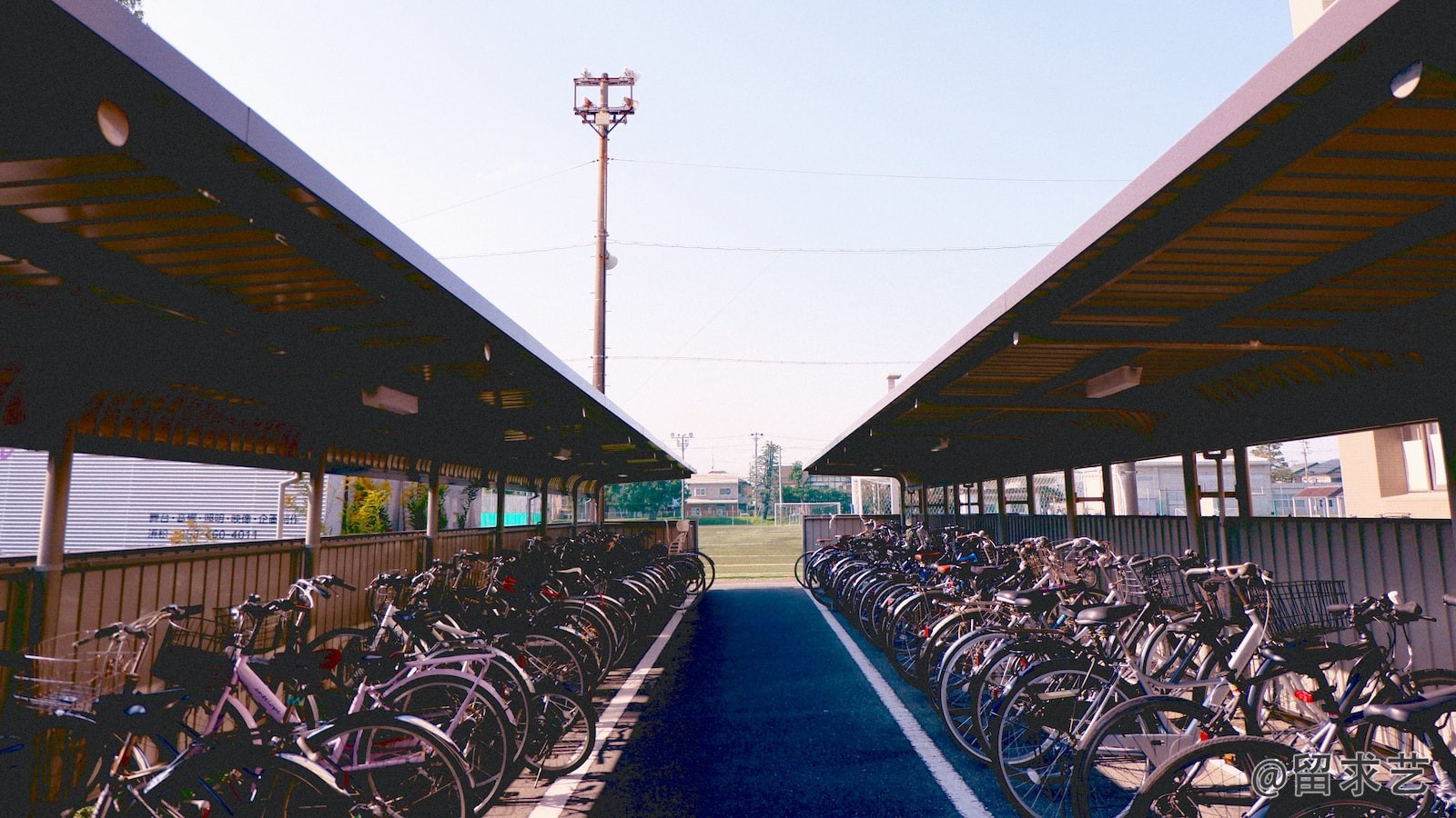 赵本山移居了加拿大了吗