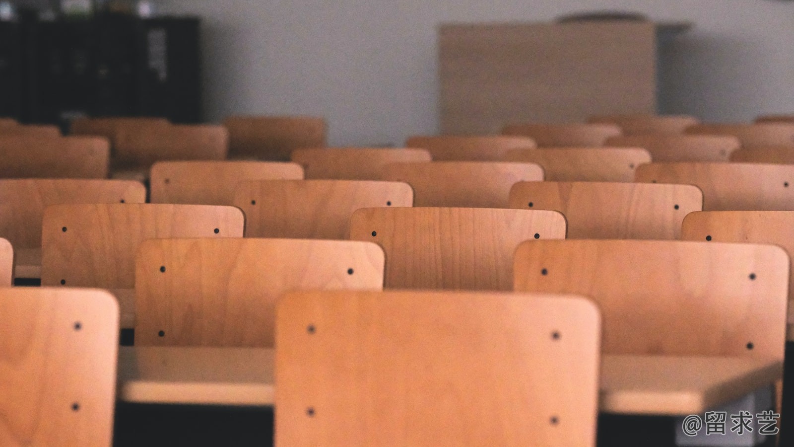 公派留学生有资格报考选调生吗