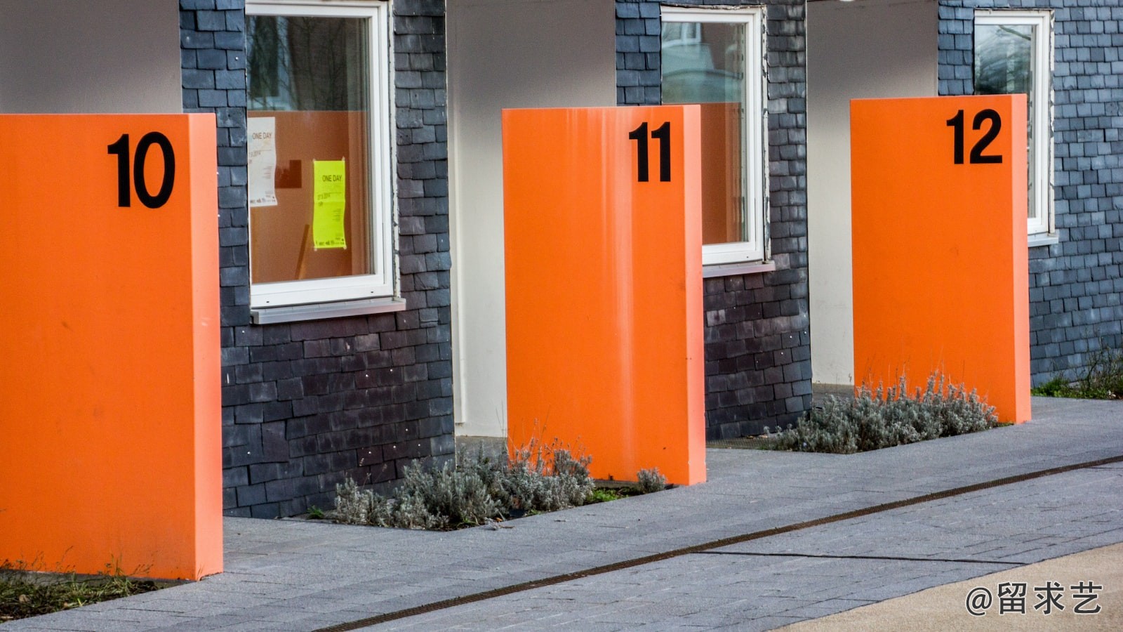 大学生就业意向调查问卷码怎么弄