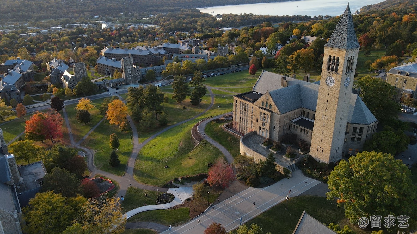 荷兰人为什么这么高