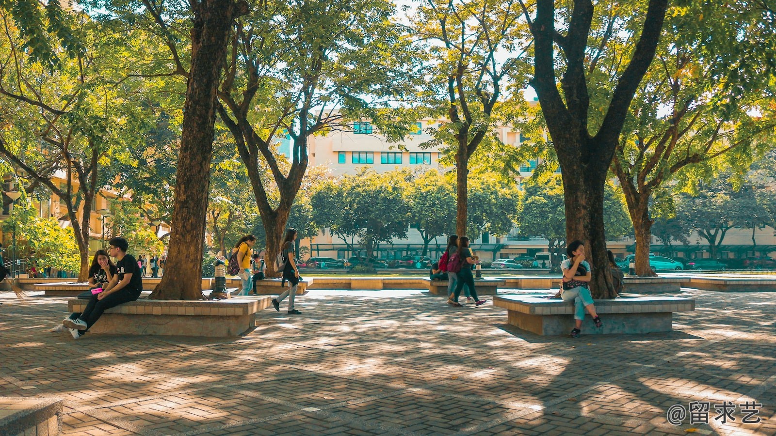 布里斯托大学心理学硕士怎么样
