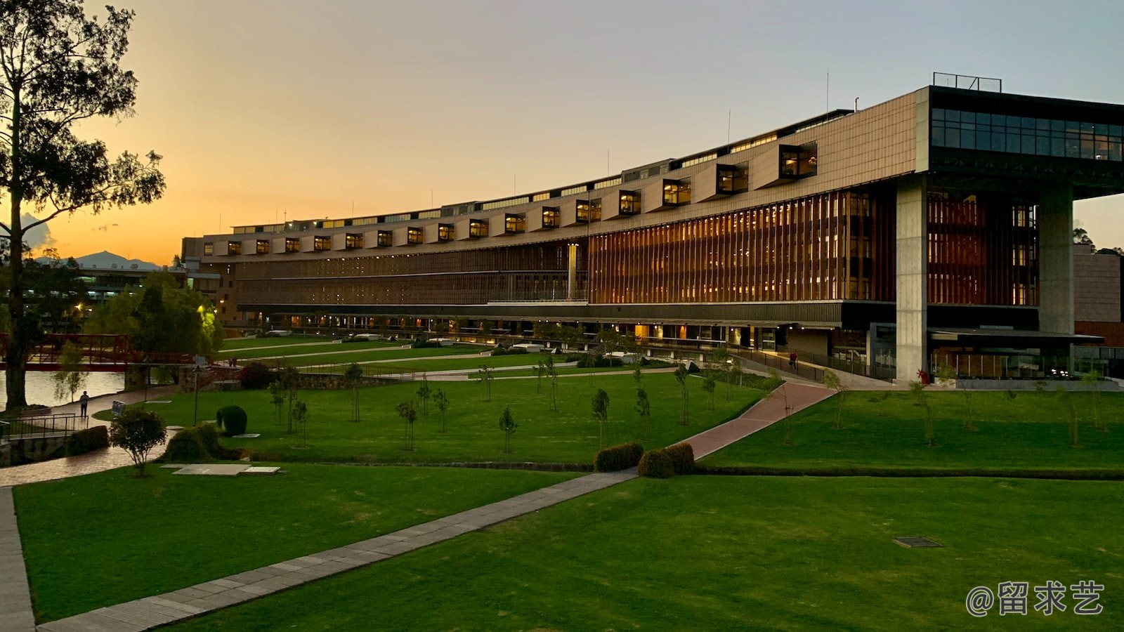 学什么专业比较容易出国留学