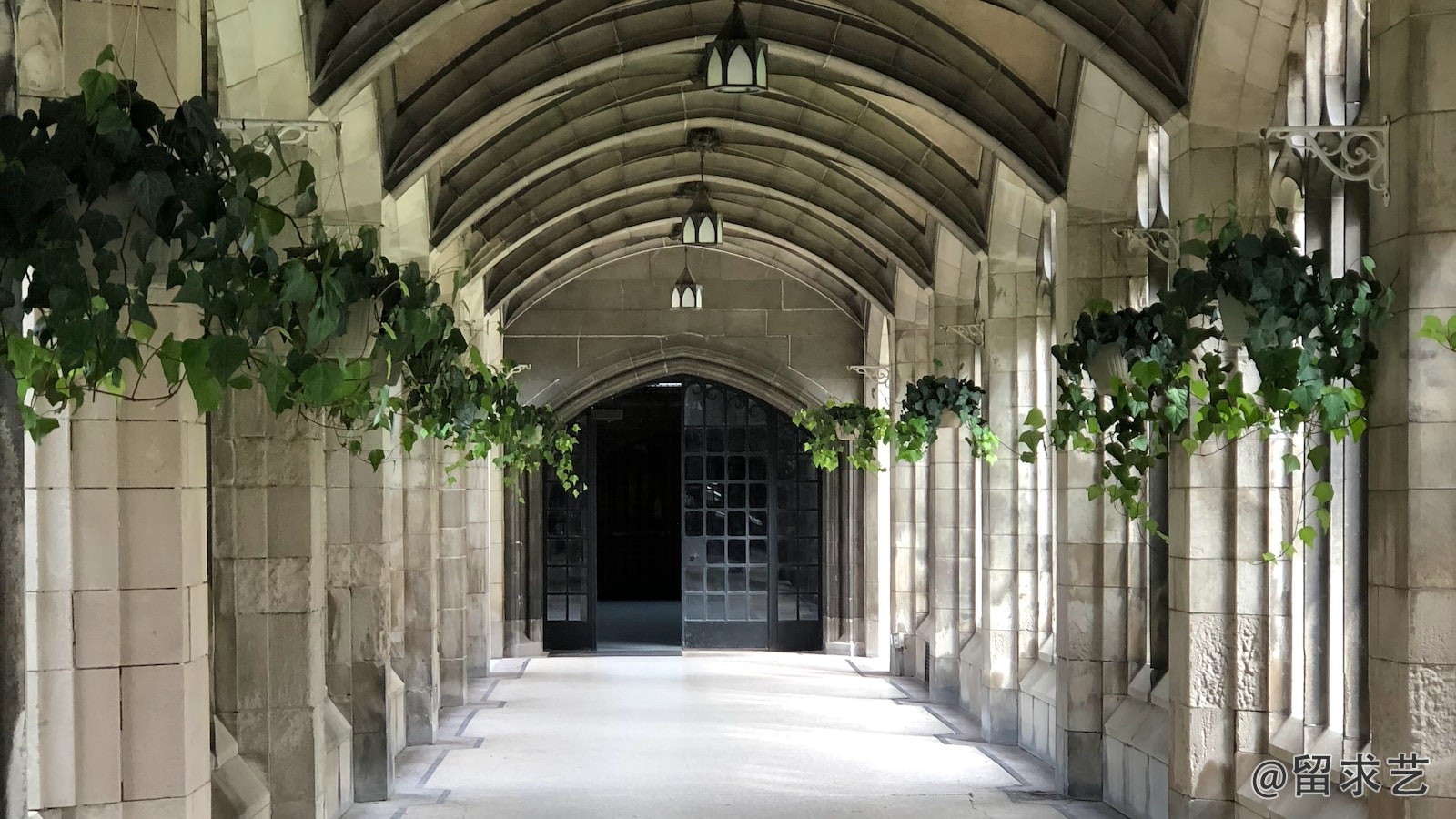 赵丽毕业于哪所大学