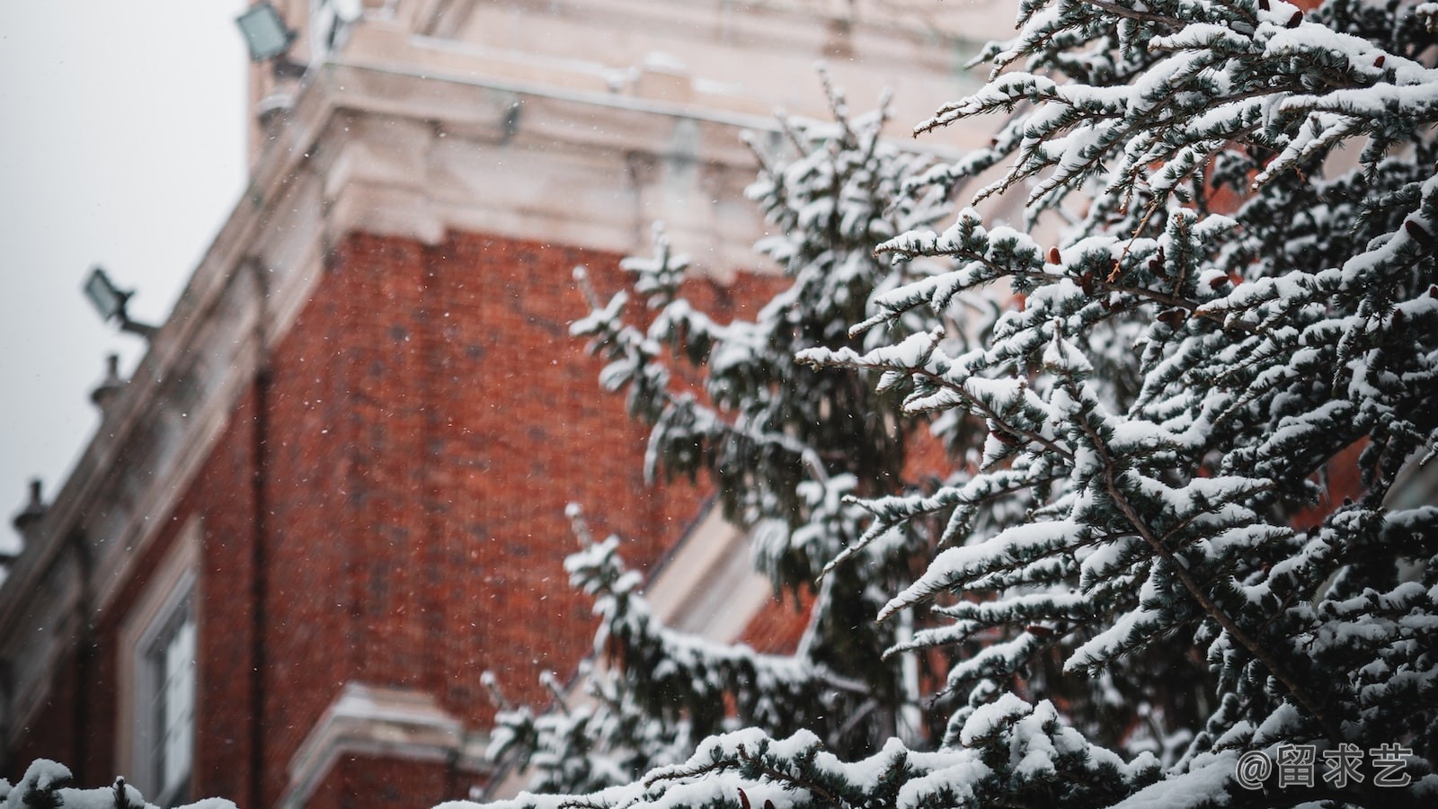 中外合作办学是什么意思张雪峰