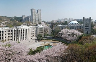 西江大学