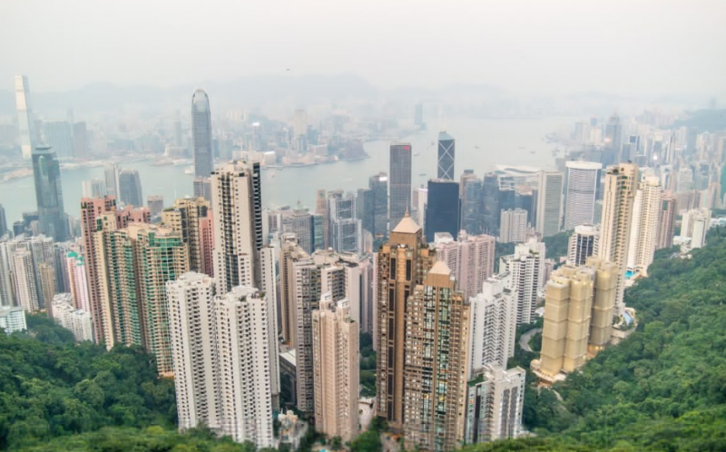 香港大学有哪些热门的艺术类专业？