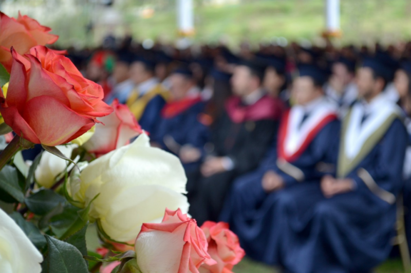 伦敦大学申请“最卷”专业TOp5申请要求一览