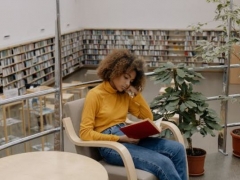 新西兰留学介绍