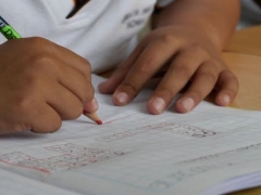 新西兰梅西大学本科申请条件及材料