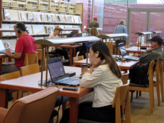 新西兰初中留学可选哪些学校(优质中学推荐)