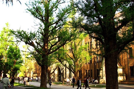 东京大学留学申请条件详解