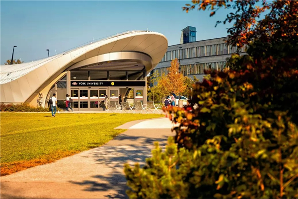 加拿大约克大学要求是什么？