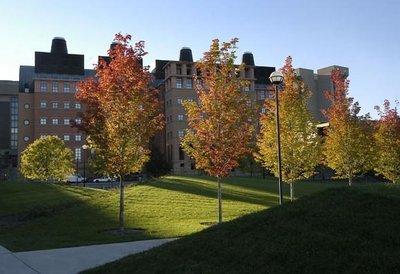 辛辛那提大学世界排名