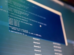 IT专业在新西兰的就业前景如何?