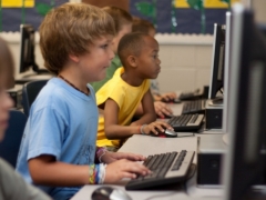 最全!新西兰鲸鱼湾公立小学申请条件及攻略