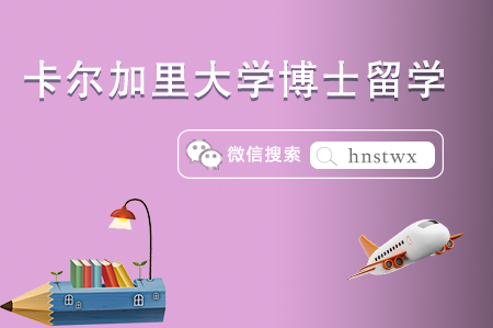 2023卡尔加里大学博士申请条件 2023卡尔加里大学博士申请条件