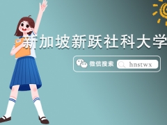 新加坡新跃社科大学博士有哪些项目？（附申请条件）