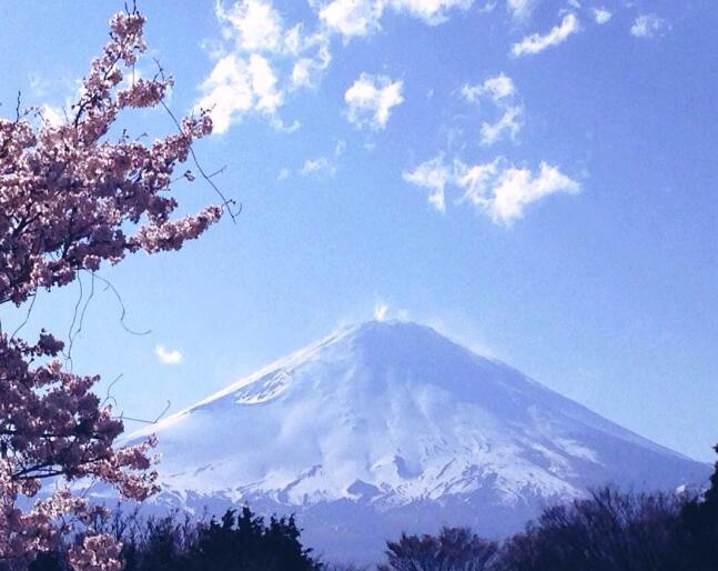 上海日本签证去哪办理流程(上海办日本签证的地址)