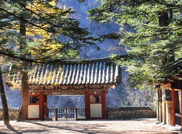 美国公民去朝鲜旅游签证(中国公民去朝鲜需要签证吗)
