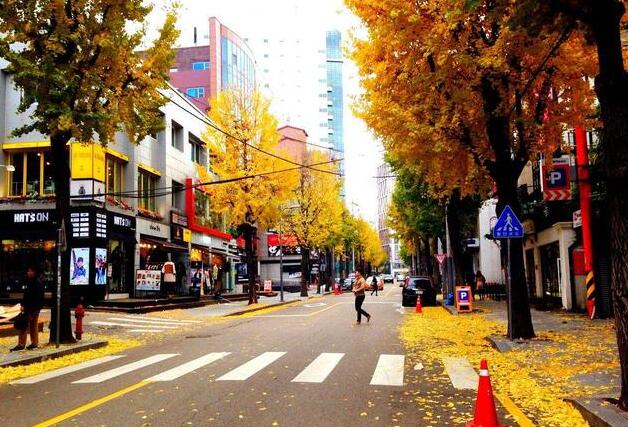 深圳旅行社韩国签证办理(韩国旅游签证办理流程)