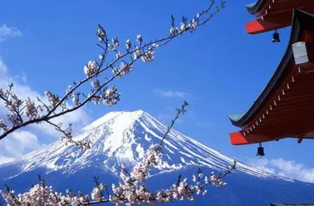 旅游签证日本(旅游签证日本多少钱)