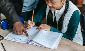 2024新西兰留学签证多少钱