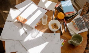 2024新西兰留学多少钱